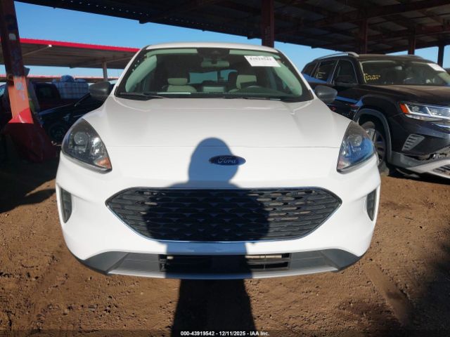 Ford Escape Se Image 10