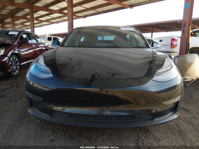 Tesla Model 3 Image 11